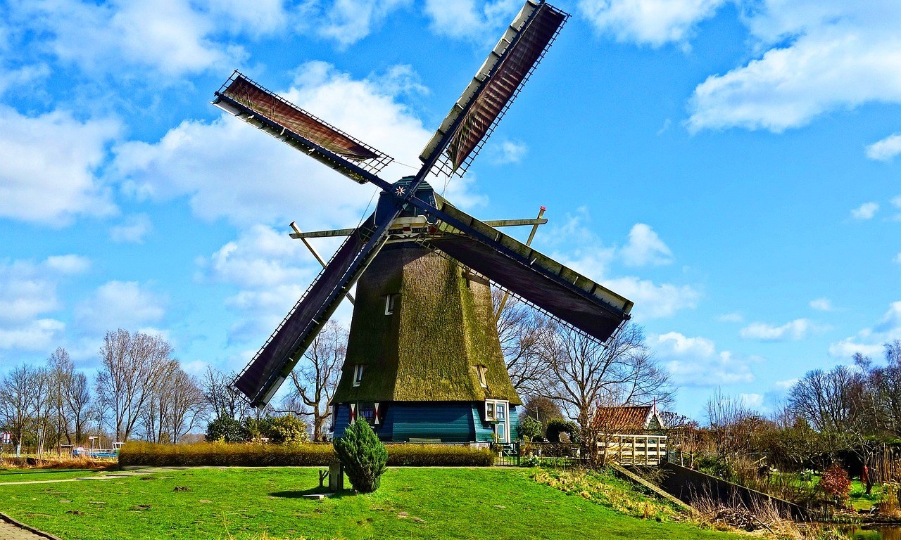 Si yo fuera el viento (Flor de Loto)