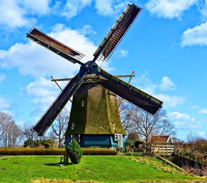 Si yo fuera el viento (Flor de Loto)