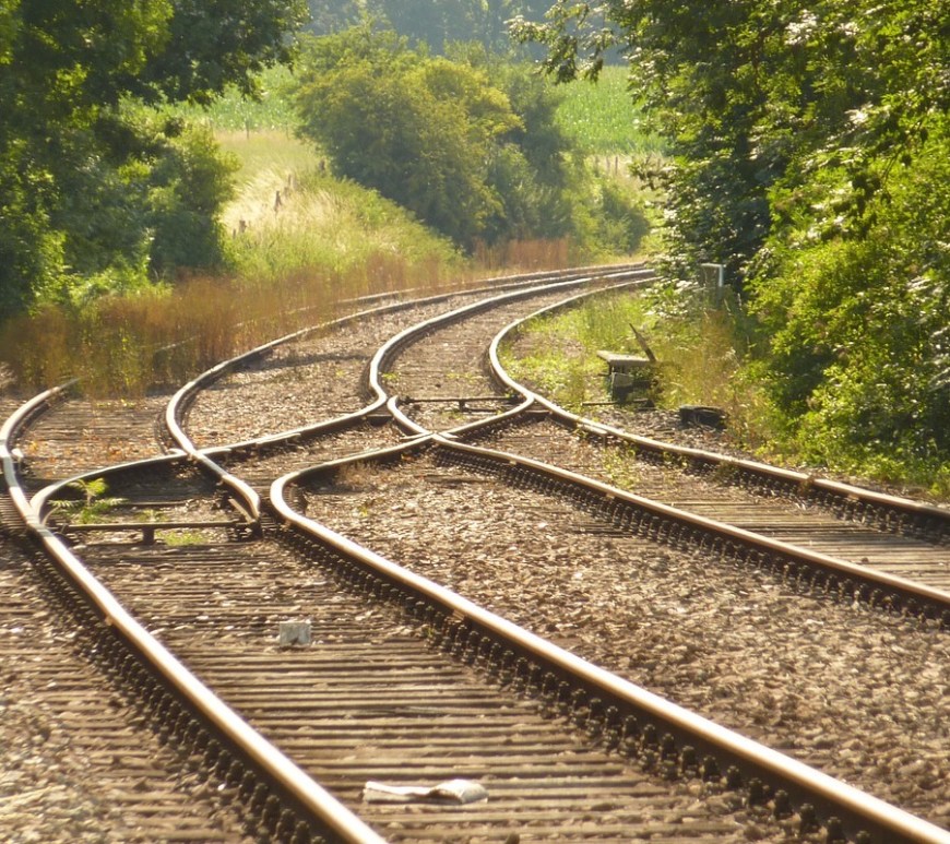 El camino de la vida